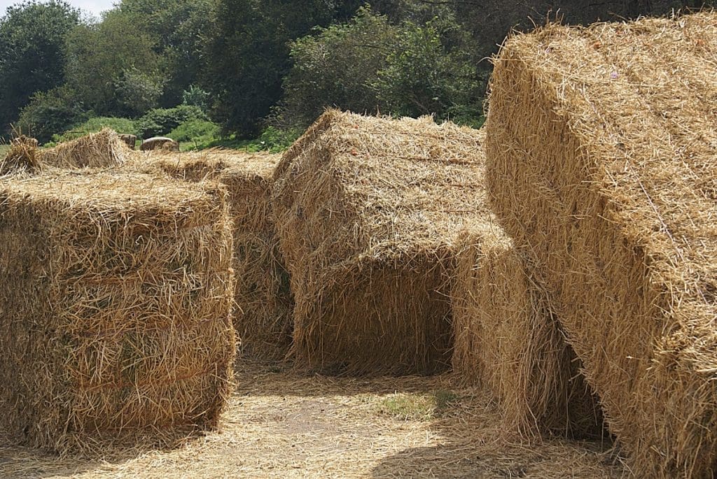 Straw bales on ground - a 2-storey load-bearing straw bale house built by women