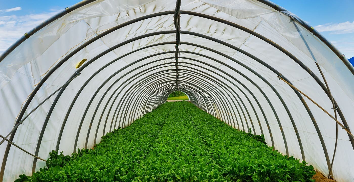 How To Build A Simple Greenhouse With Recycled Materials 5 Plastic-covered greenhouse with arched design - how to build a simple greenhouse with recycled materials