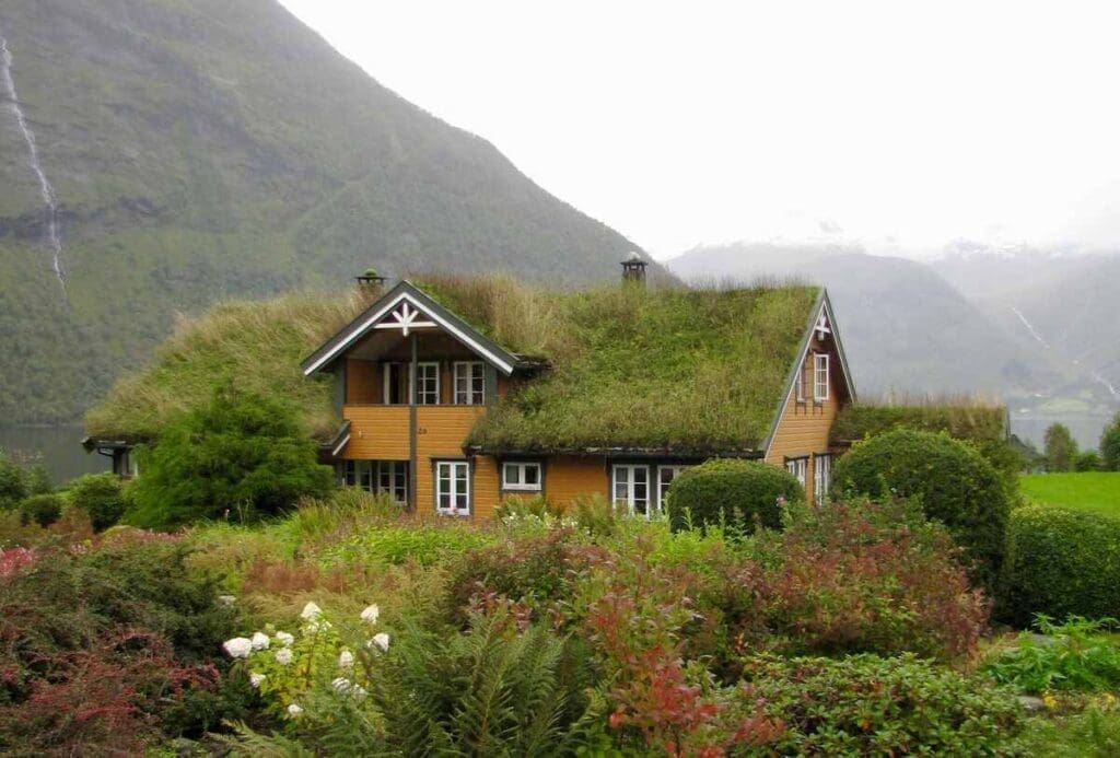 Living roof house nature
