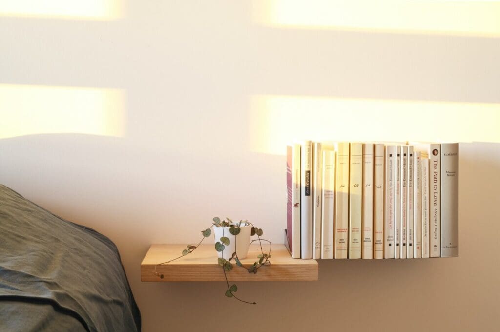 Bookshelf with books to one side - simple eco-friendly wood projects for your home