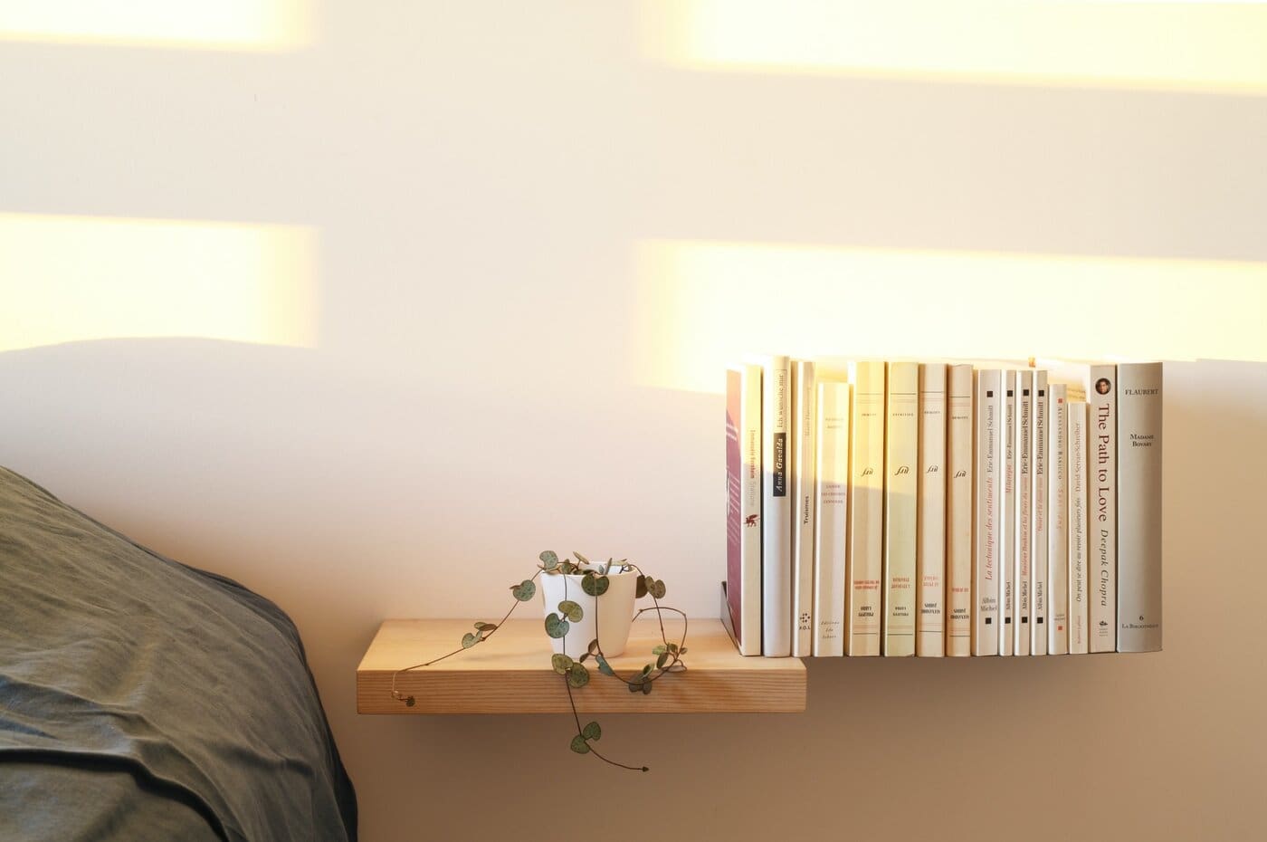 Bookshelf with books to one side - simple eco-friendly wood projects for your home