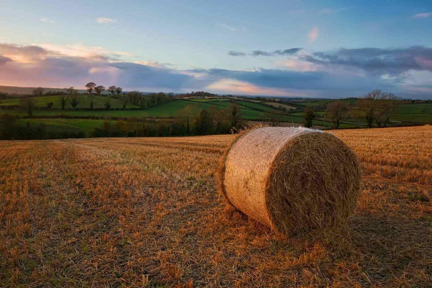 Round bale of straw in field - 5 affordable green building construction materials