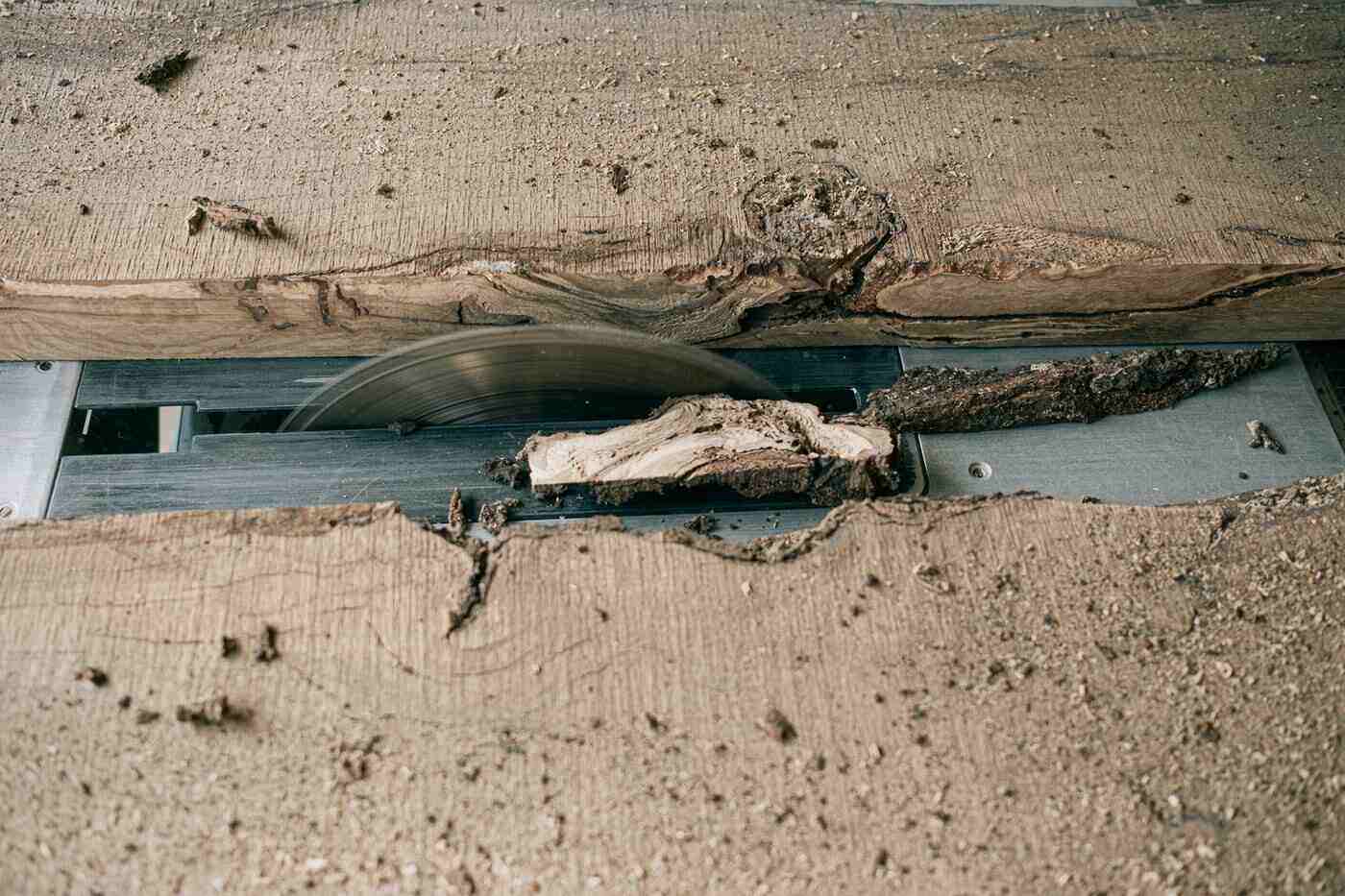 Wood on table saw - 5 tips for eco-friendly woodworking