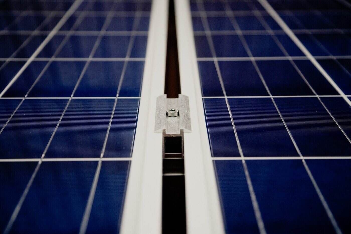 Close up of solar panels - an in-depth look at choosing solar panels