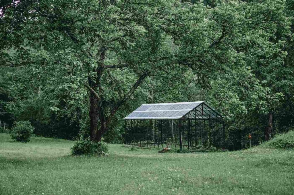 Greenhouse being built on tree-filled property - how to set up a greenhouse in 10 easy steps