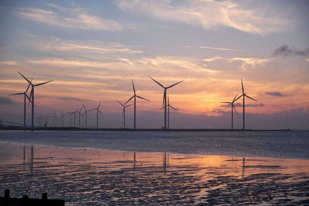Wind turbines on the shore at dawn - 4 things you should know about renewable energy