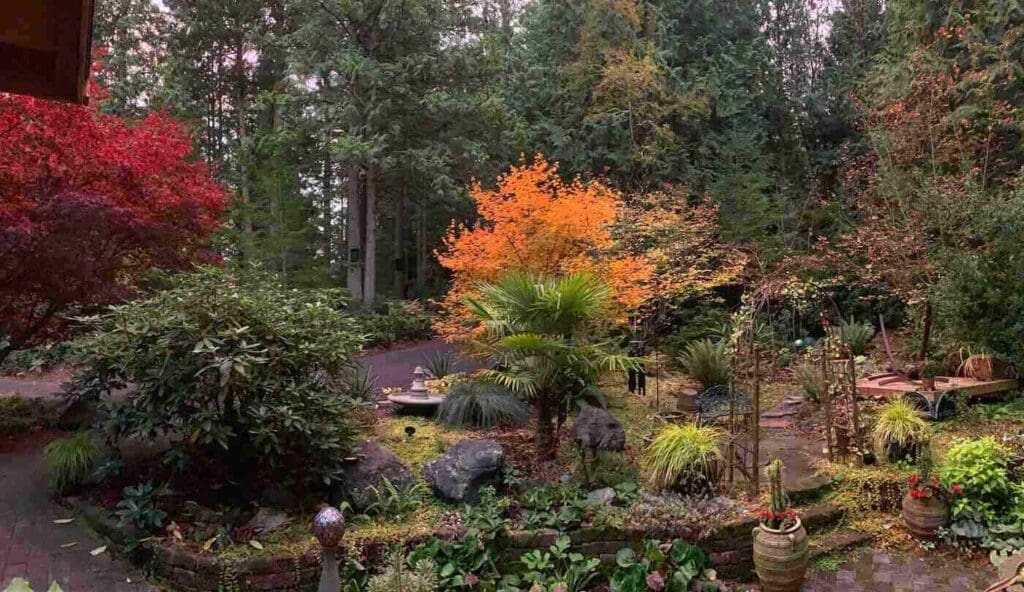 Landscaped garden in autumn - 7 useful outdoor landscaping tips