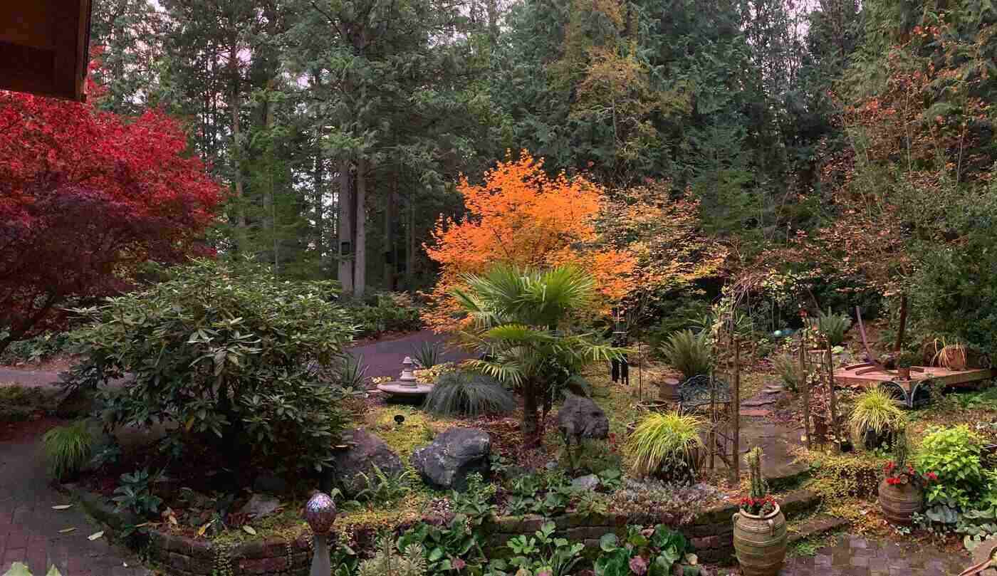 7 Useful Outdoor Landscaping Tips 2 Landscaped garden in autumn - 7 useful outdoor landscaping tips