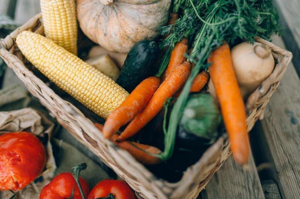 Basket of vegetables - essential steps to growing and keeping your vegetables healthy