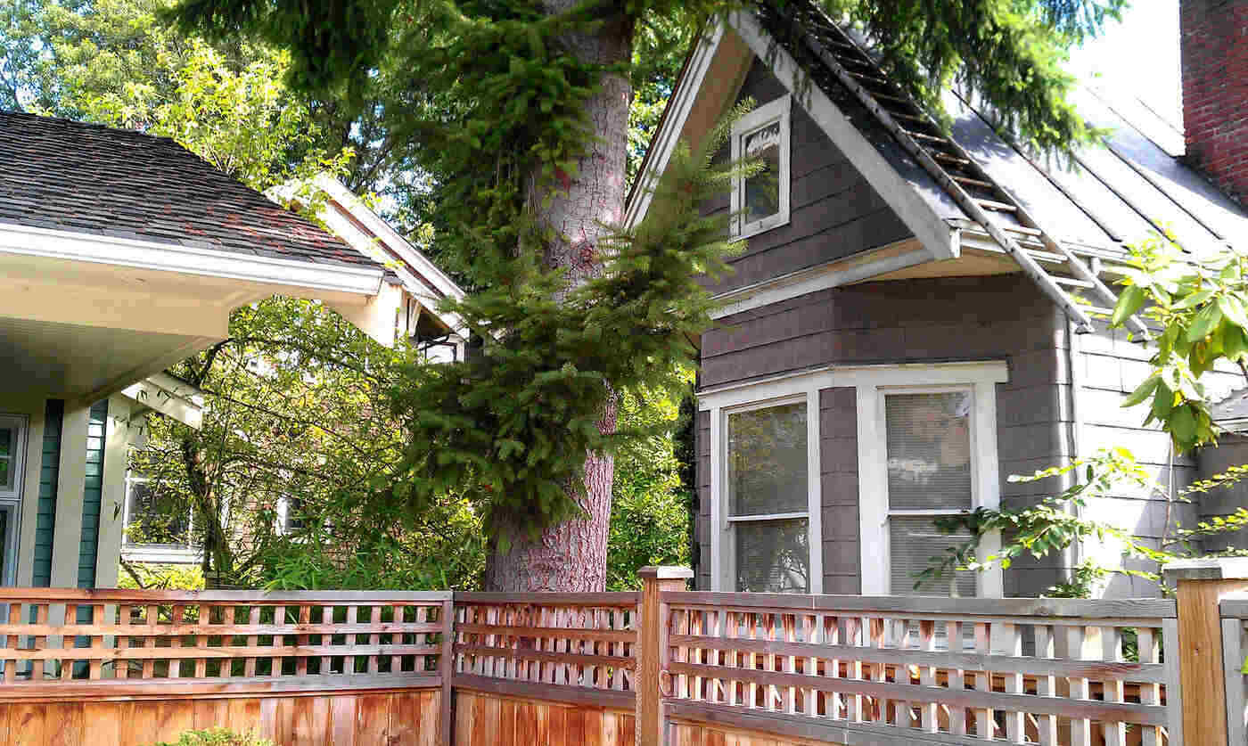 Are Laneway Houses A Good Investment? 2 Grey laneway house with tree - are laneway houses a good investment