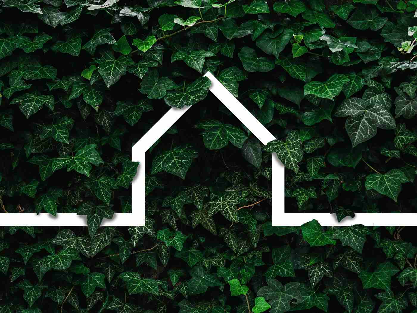 Green Building Guide To Sustainable Building Design 6 Outline of house in ivy - green building guide to sustainable building design
