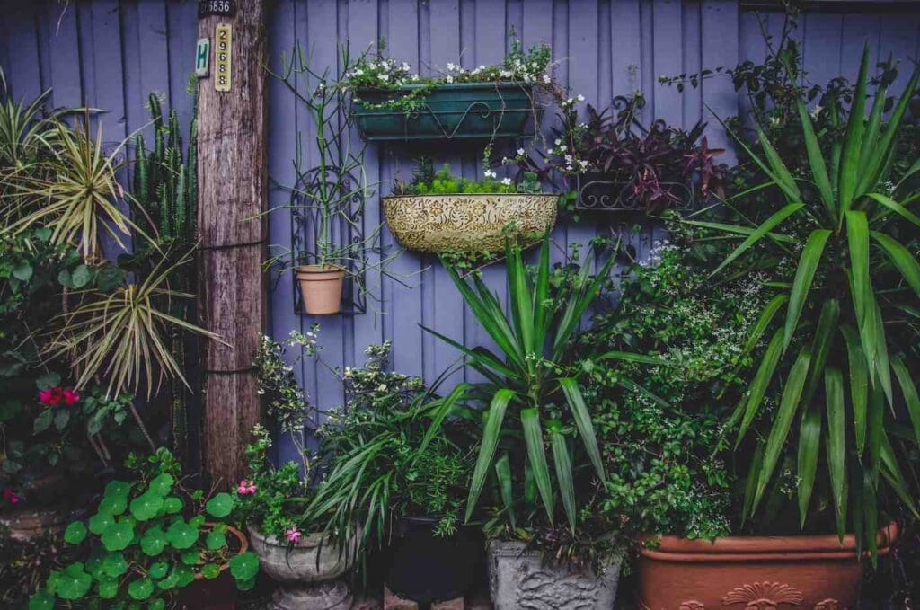 Plants-in-pots-benefits-vertical-gardens