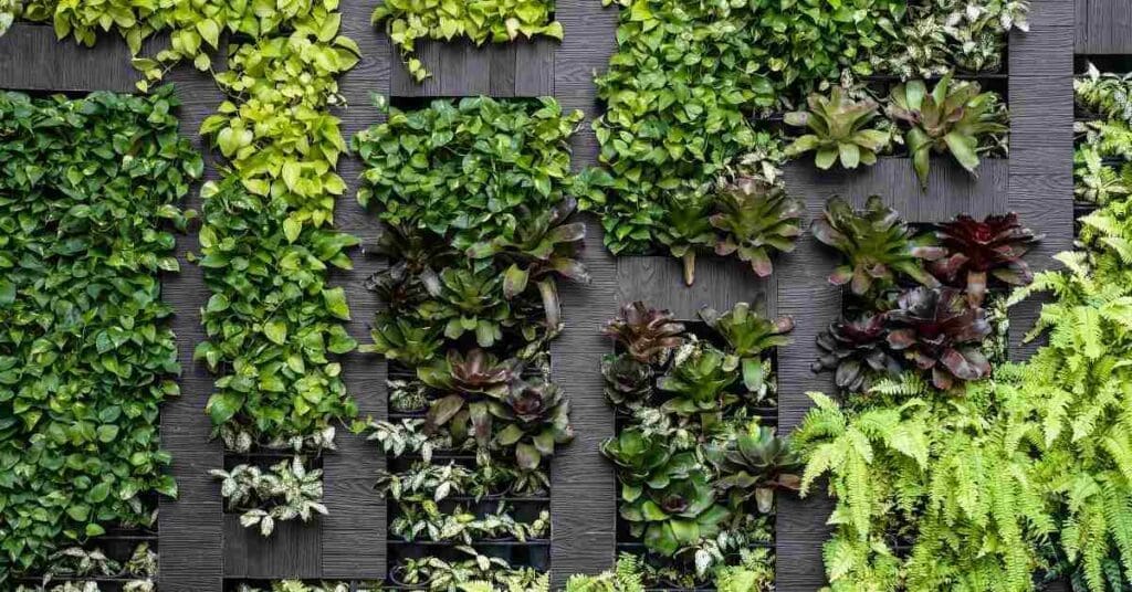 Eden aeroponics releases innovative indoor vertical gardens