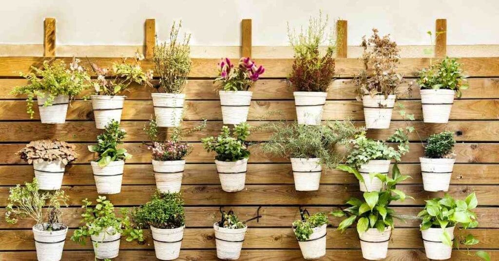 Eden Aeroponics Releases Innovative Indoor Vertical Gardens 3 Eden aeroponics - vertical gardening