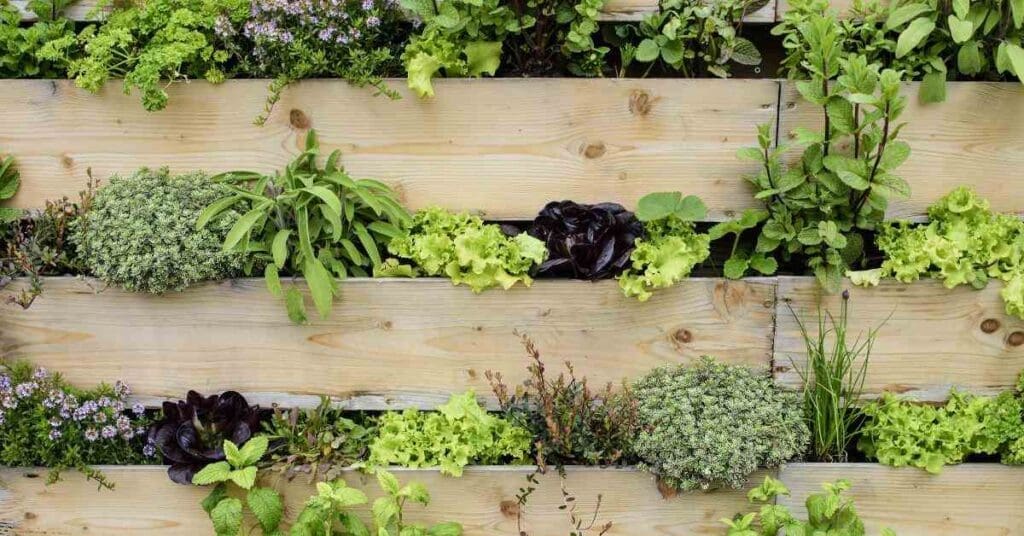 Eden Aeroponics Releases Innovative Indoor Vertical Gardens 4 Eden aeroponics gardening