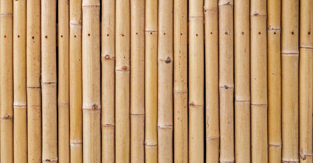 Bamboo wall