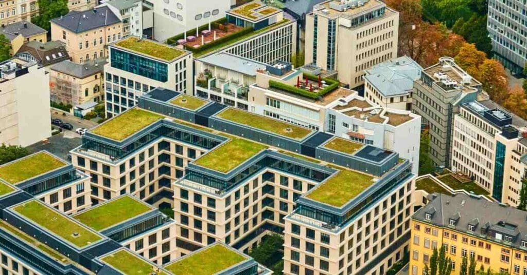 Green roofs in halifax