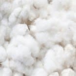 Green Building Directory 13 Insulation