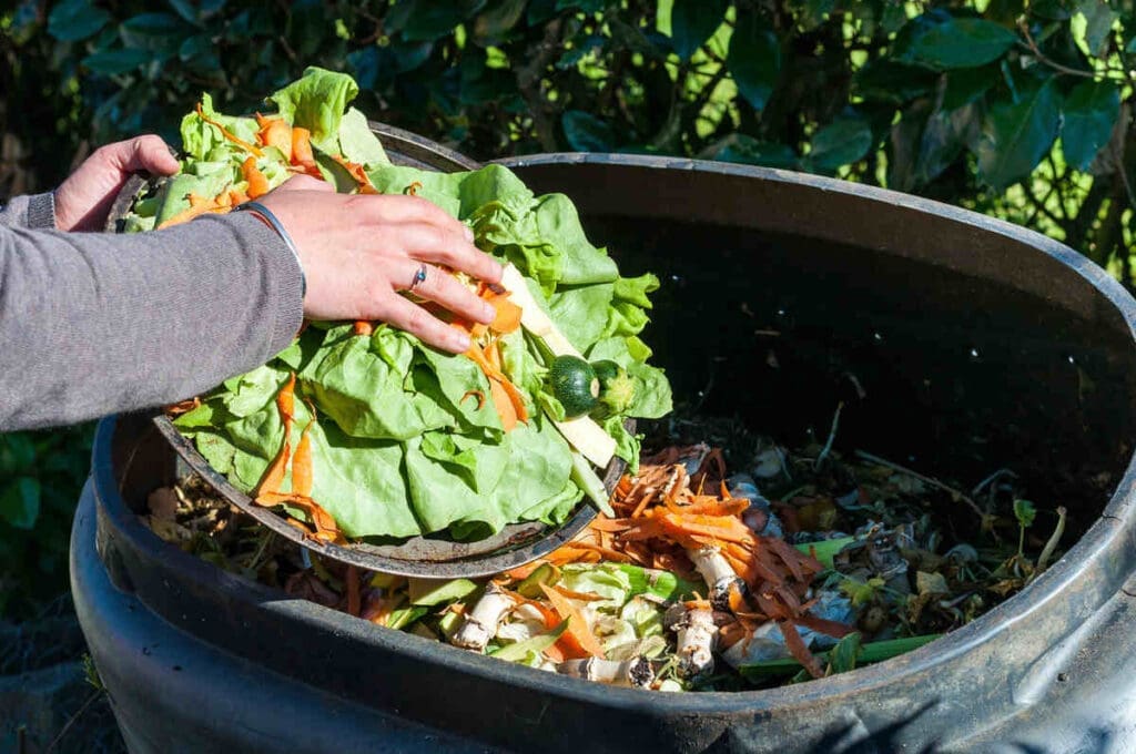Compost food waste