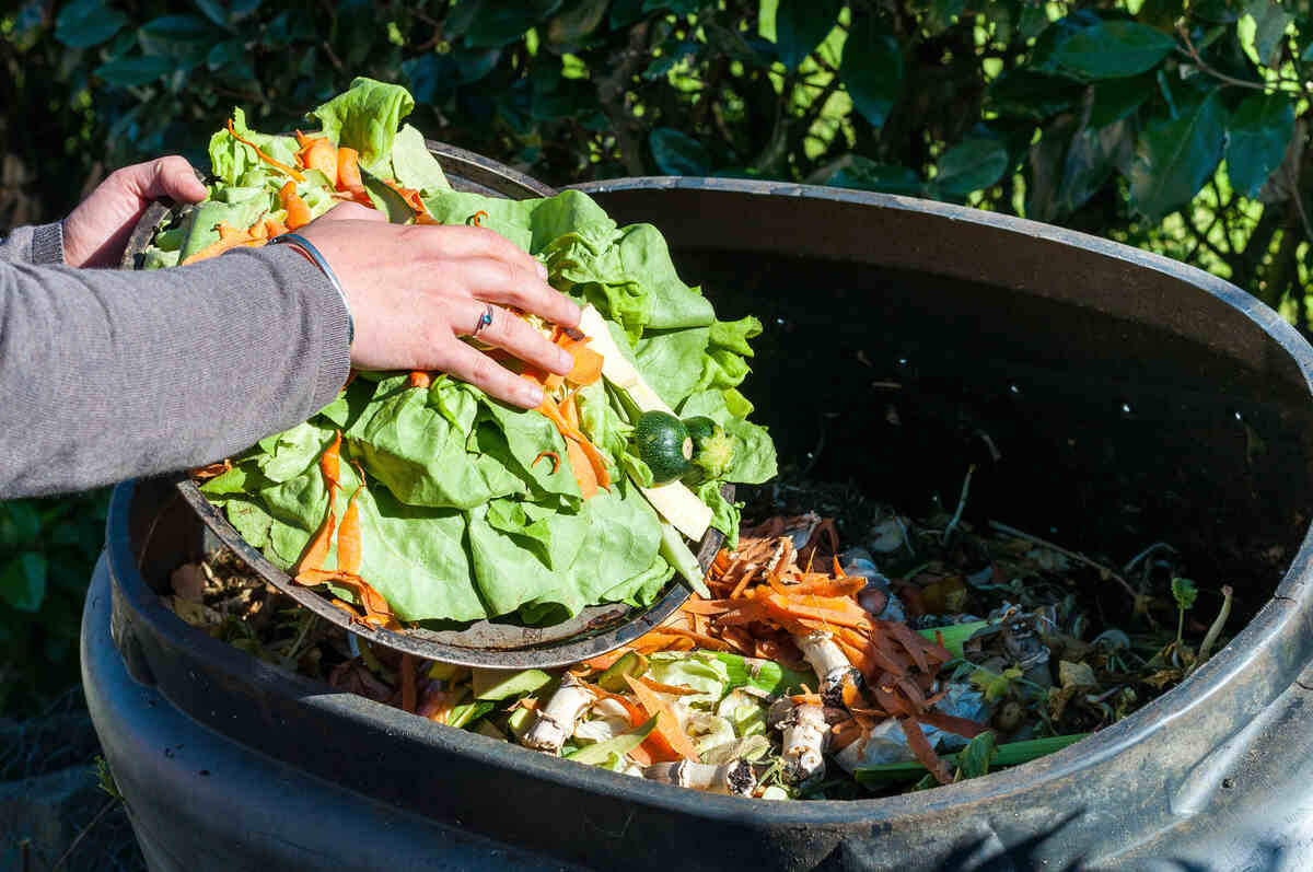Compost food waste
