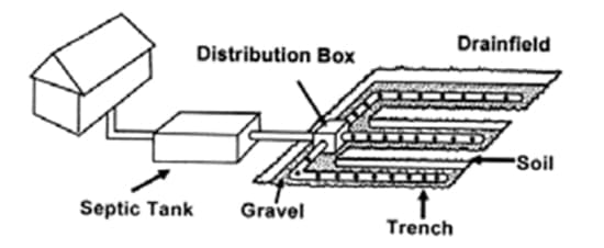 Septic tank arrangement
