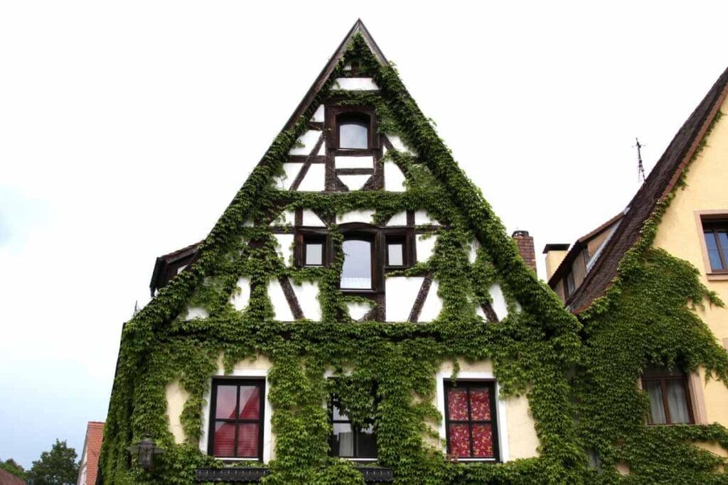 Germany traditional house green facade