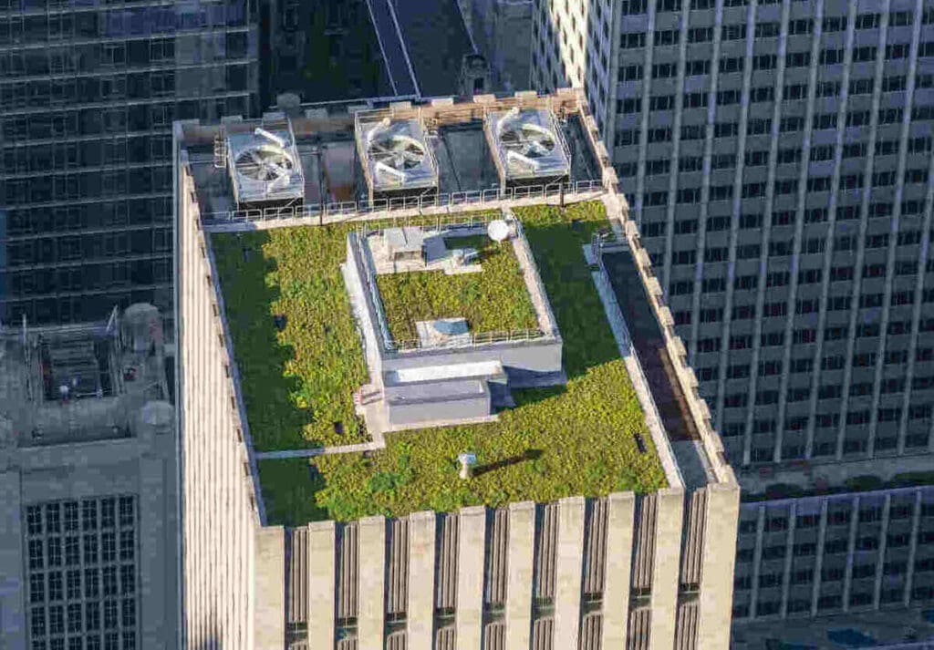 Green roof on building