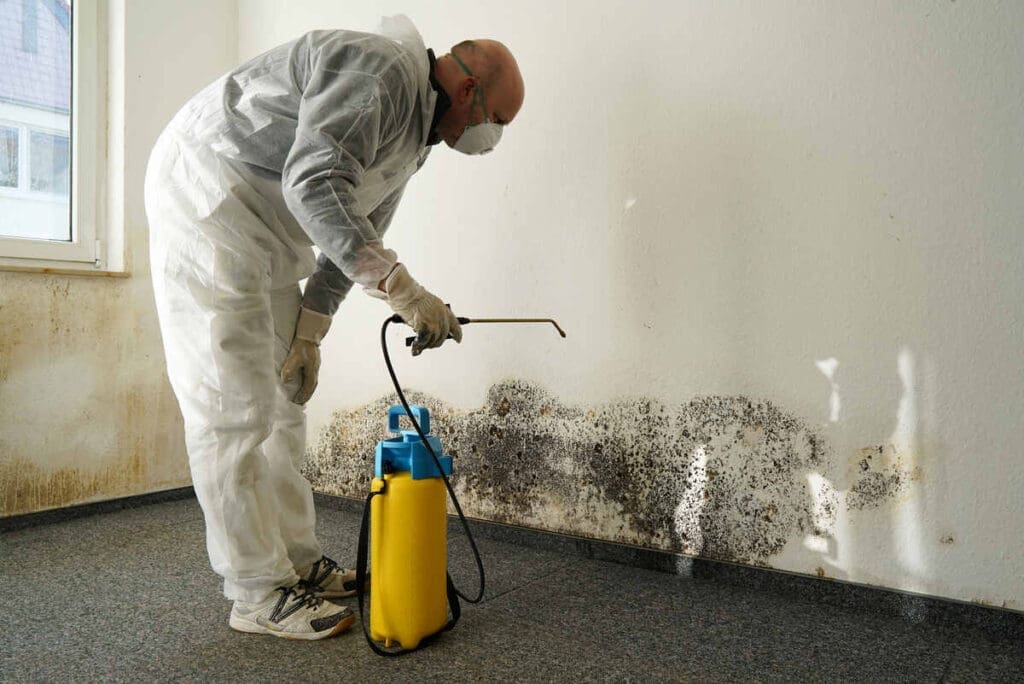 Mould remediation of house