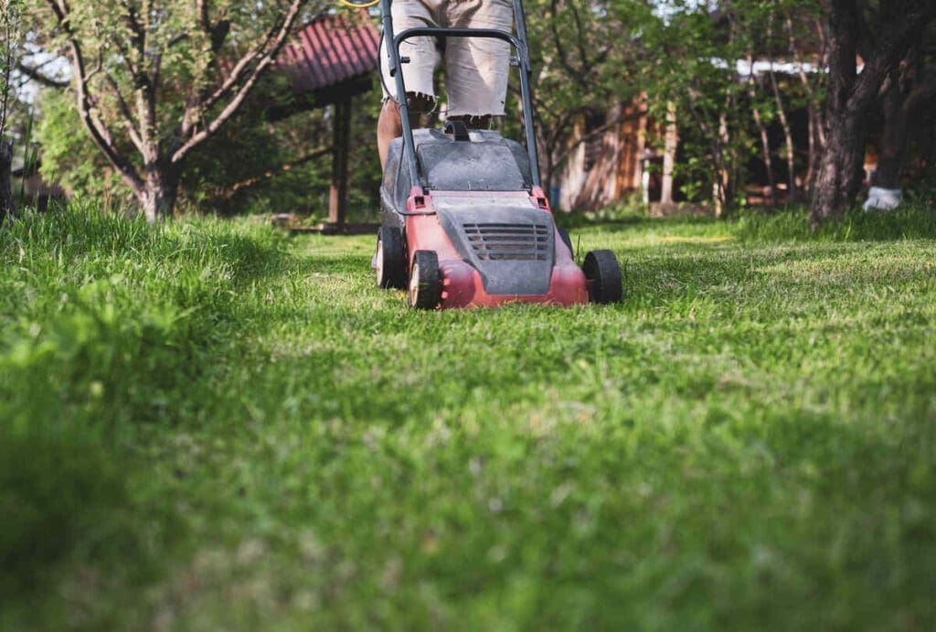 8 Sustainable Cleaning Tips You Can Use When Maintaining Your Property 4 Lawnmower mulching grass