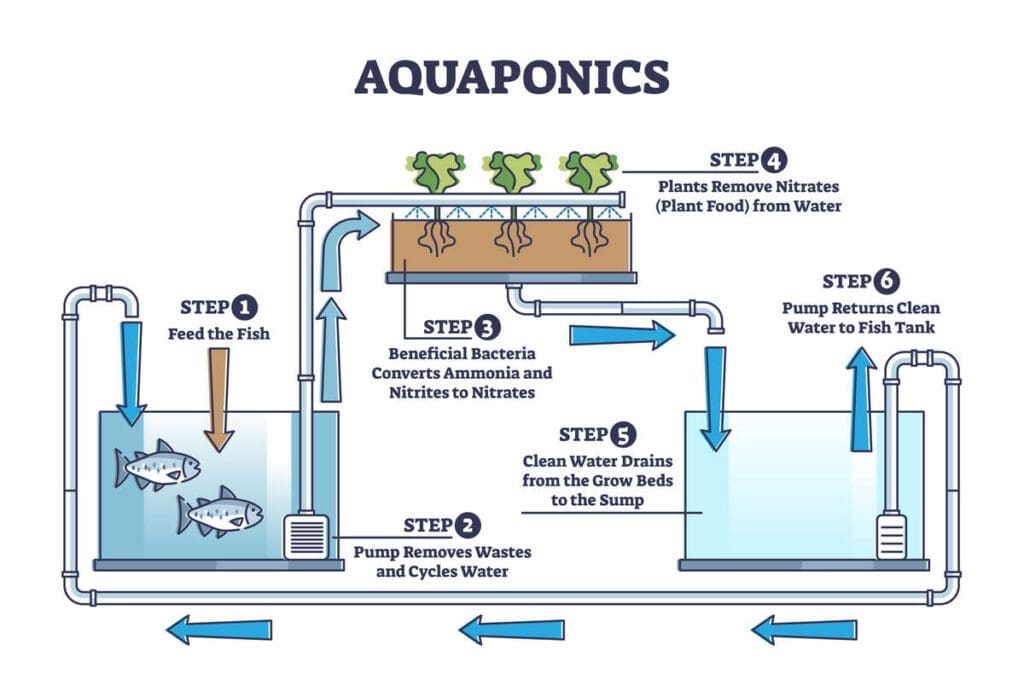 Aquaponics
