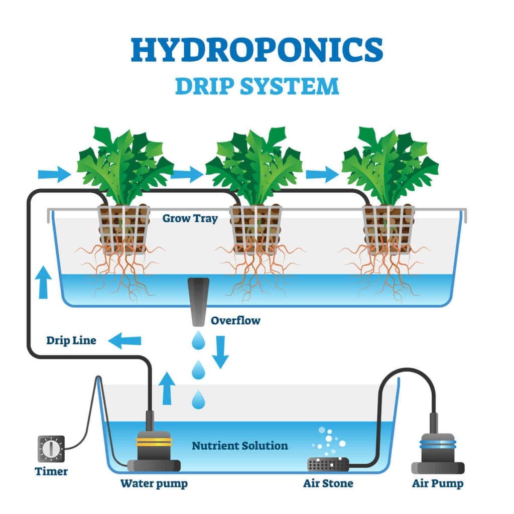 Hydroponics infographic