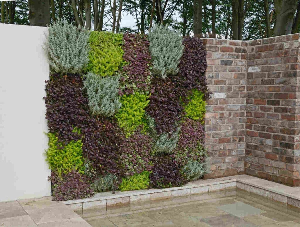 Vertical garden - living wall