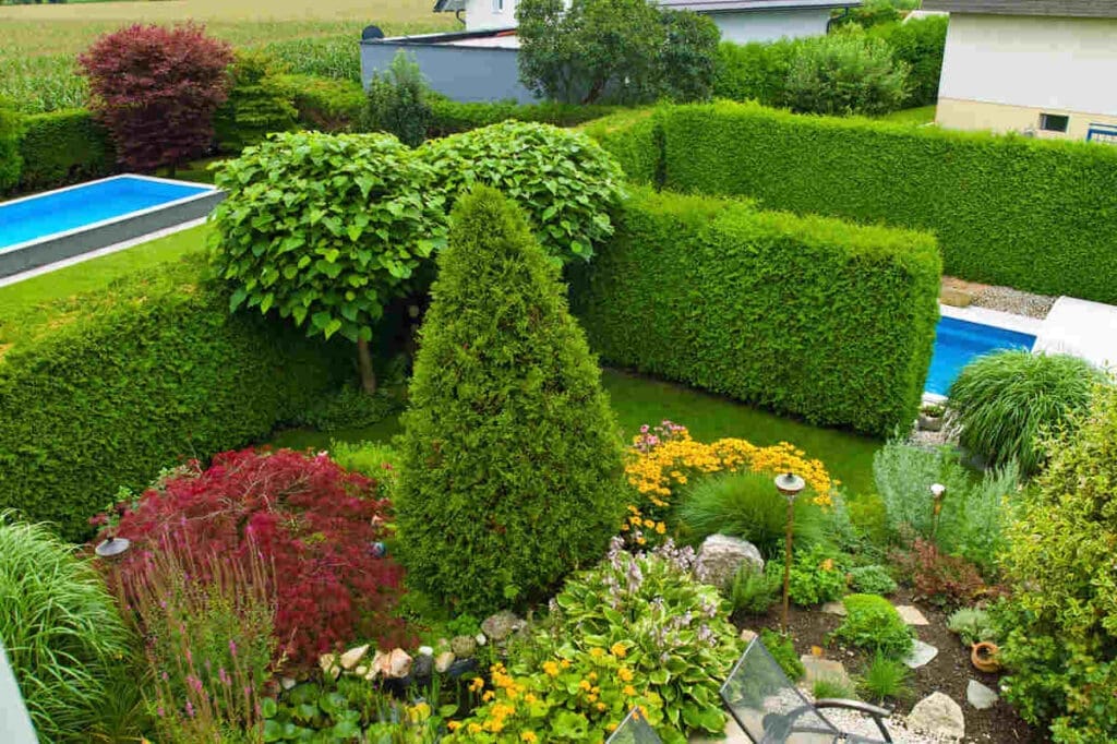 Here'S How To Soundproof Your Yard Naturally 3 Hedges privacy garden 1