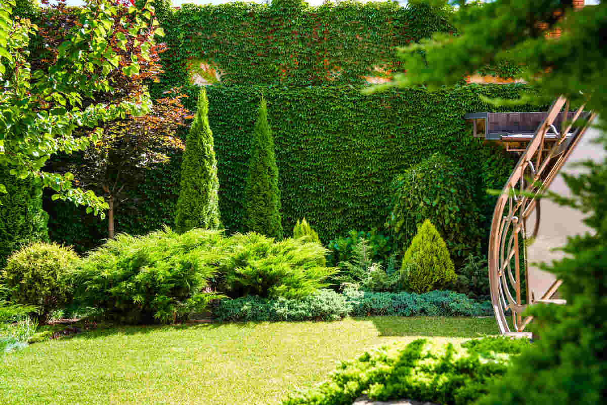 Here'S How To Soundproof Your Yard Naturally 2 Natural soundproofing your yard