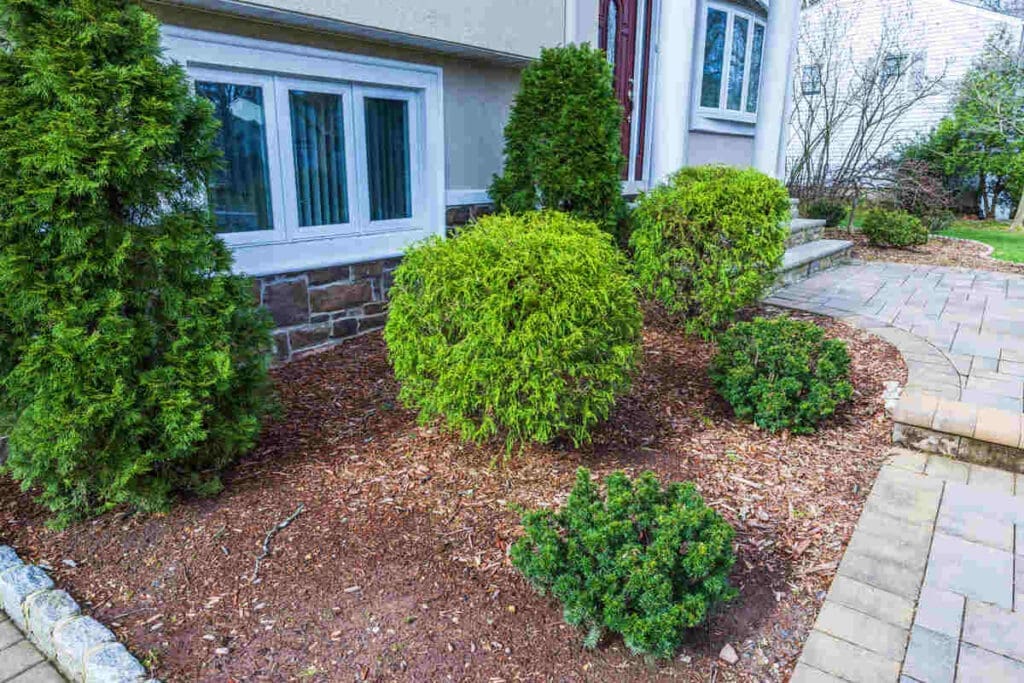 Backyard landscaping - hardscaping and softscaping