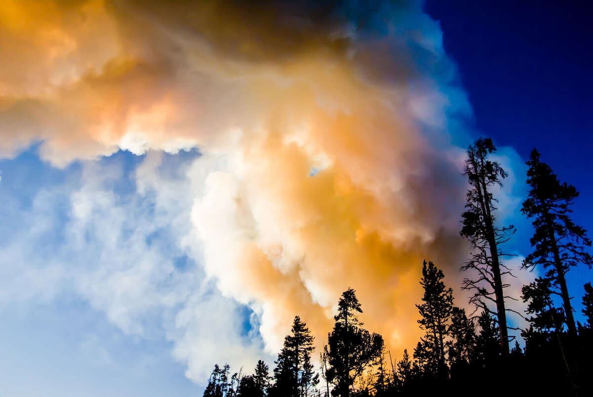 Wildfire smoke in canada