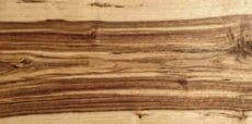 Hickory wood closeup 1