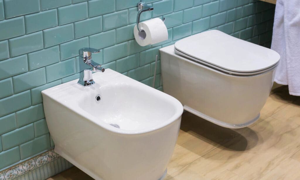 How Toilets Have Evolved…Is The Bidet Next? 3 Toilet bidet combo