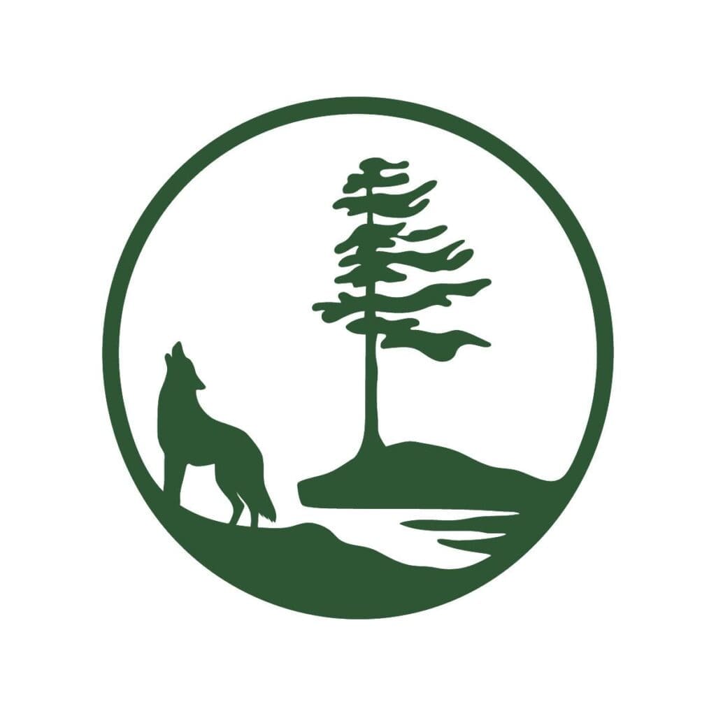 556657540 1225353322950011 8574883443031582699 n