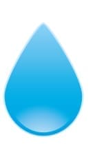 Nextrain logo with alberta and canada flags 03 1024x513 1 1