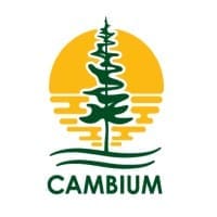Cambiumconsultingengineering logo