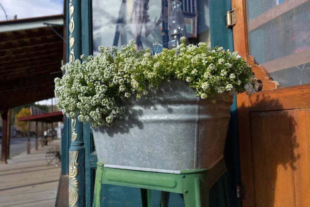 Metal planter