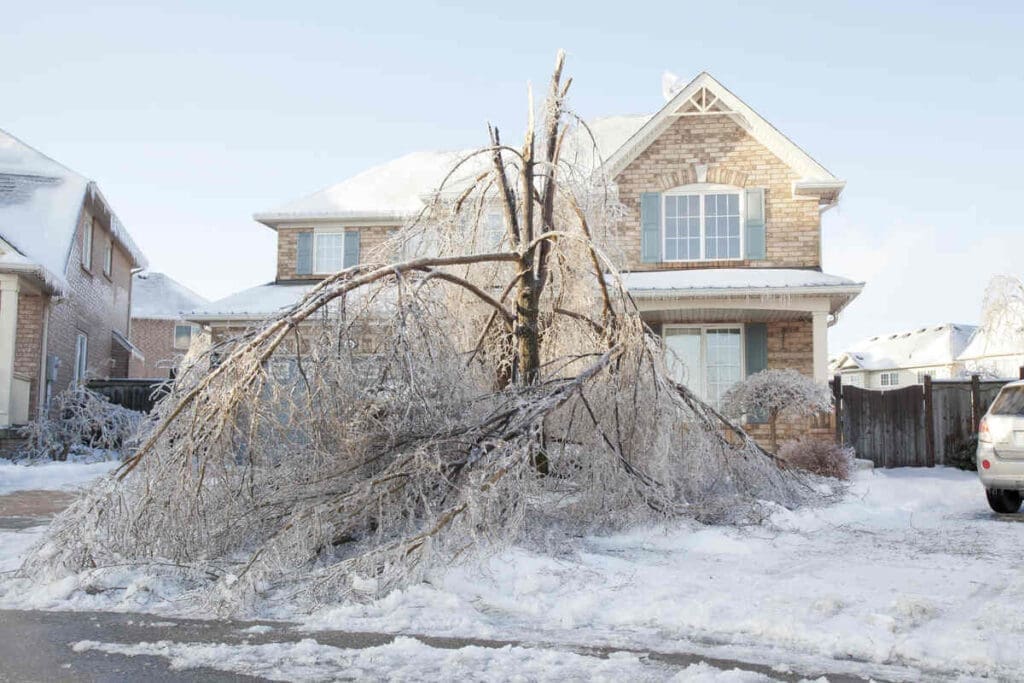 Winter ice-storm in toronto, canada
