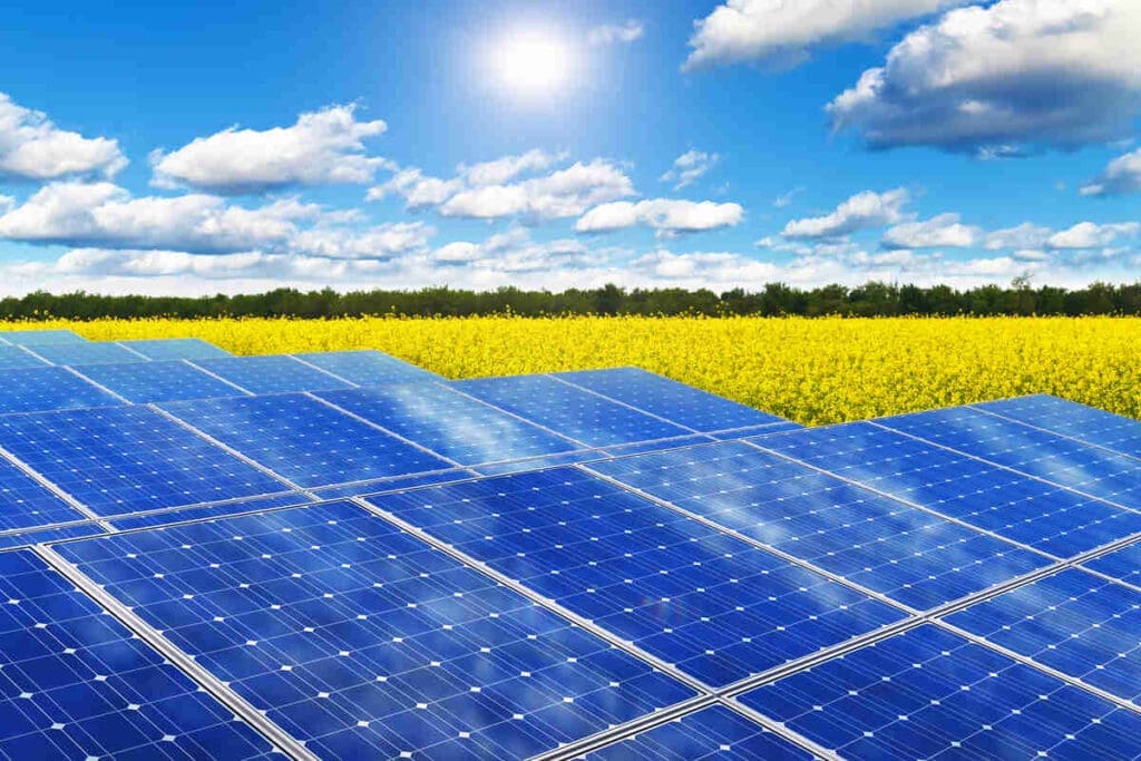 solar panels in field