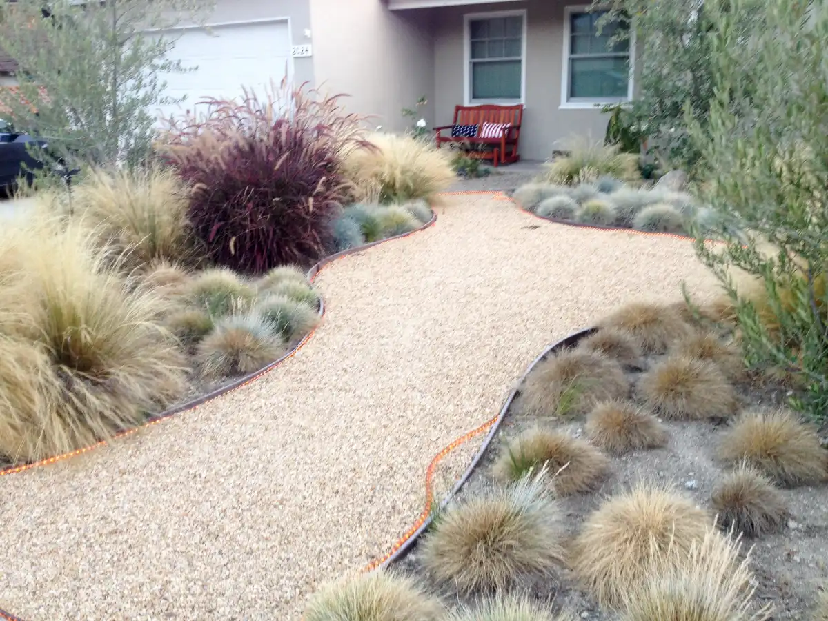 drought-resistant front yard